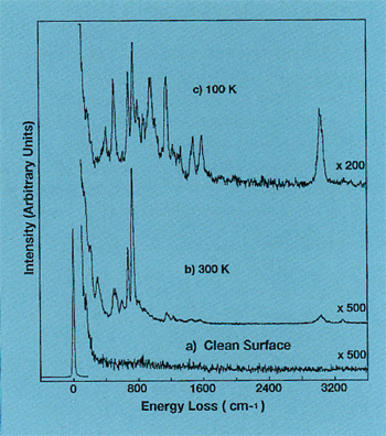 ELS300 - Graph C